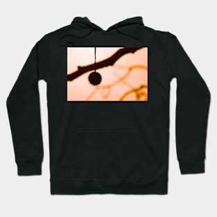 Focus Hoodie